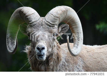 I was able to take a cute picture 77941831