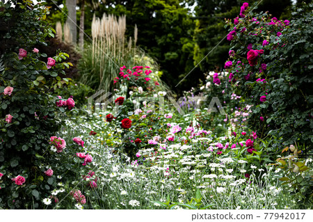 Colorful plants that heal the mind in a botanical life 77942017