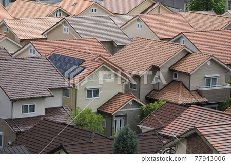 The roof The roof 77943006