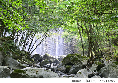 丹澤山脈和西丹澤的深林 77943209