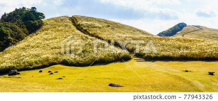 河內峠關秋景全景【長崎縣平戶市】 77943326