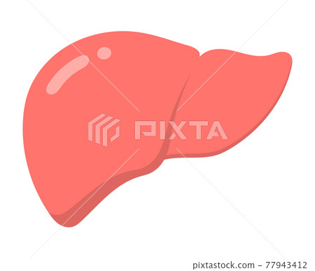 Human liver Human liver 77943412