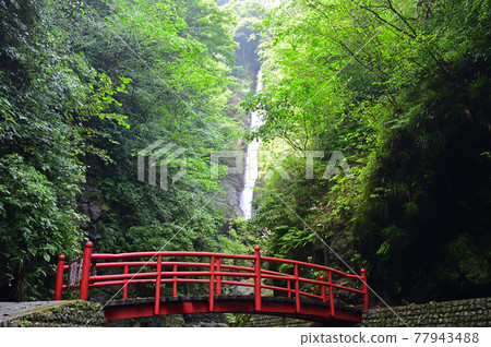 Shasui Falls in Yamakita Town, Kanagawa Prefecture 77943488