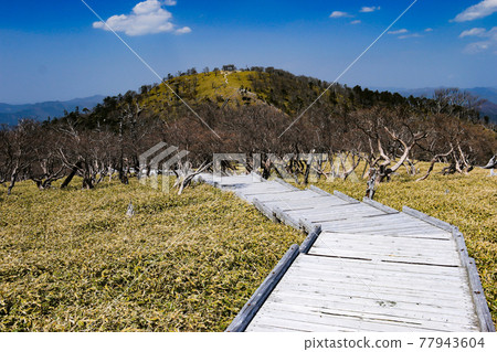A distant view of the summit of Mt. Odaigahara (Hinodegatake) in Nara Prefecture, Japan 77943604