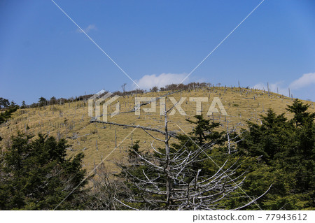 日本奈良縣禦台原山(日之之岳)登頂之路 日本奈良縣禦台原山(日之之岳)登頂之路 77943612