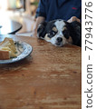 A dog aiming for half-eaten bread on the table 77943776