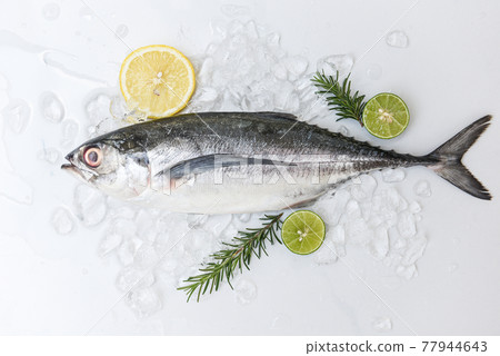 mackerel scad, Fish on ice for cooking food in the restaurant, Fresh fish raw torpedo scad with lemon, top view 77944643