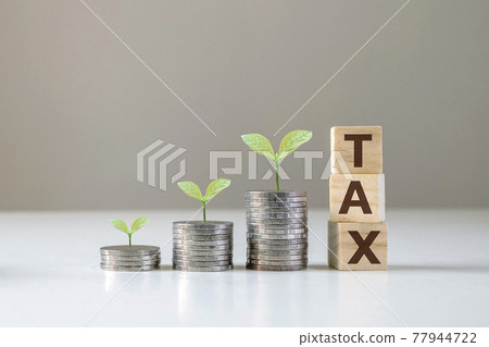 The tree grows on piles of money and lumps of wood with tax signs, financial ideas and economic conditions. The tree grows on piles of money and lumps of wood with tax signs, financial ideas and economic conditions. 77944722