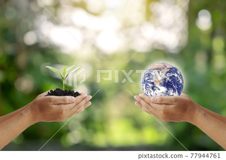 Exchange of planets in the hands of humans with young plants in the hands of humans, concept of Earth Day and Conservation of the Environment.Elements of this image decorated by NASA. Exchange of planets in the hands of humans with young plants in the hands of humans, concept of Earth Day and Conservation of the Environment.Elements of this image decorated by NASA. 77944761