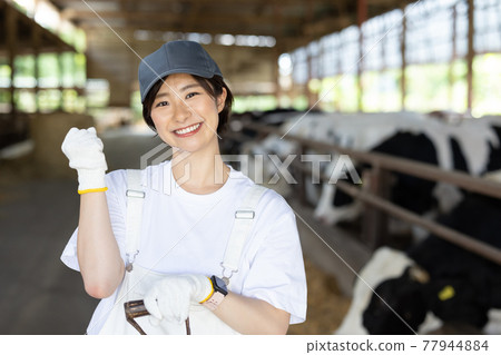 Young dairy farmer working on a ranch 77944884