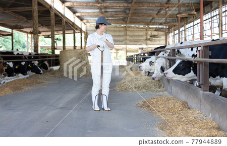 Young dairy farmer working on a ranch Young dairy farmer working on a ranch 77944889