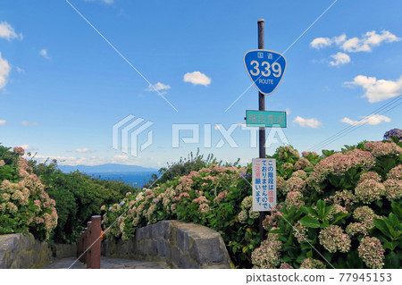 國道339號樓梯國道 77945153