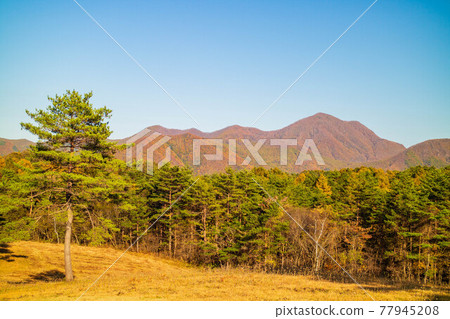淺間山腳下度假區北輕井澤的淺間牧場秋色 淺間山腳下度假區北輕井澤的淺間牧場秋色 77945208