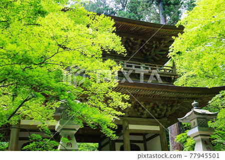 日本神奈川縣南足柄市鮮綠色天狗傳說中的大雄山西城寺 77945501