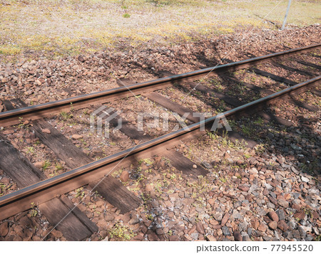 Railroad rails and sleepers 77945520