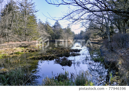 Karuizawa Unba Pond Karuizawa Unba Pond 77946396