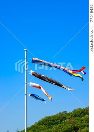 Carp streamer 77946426