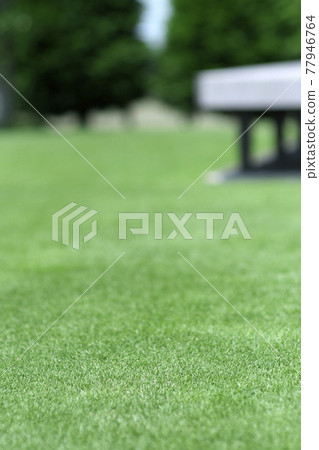 Lawn garden 6 77946764