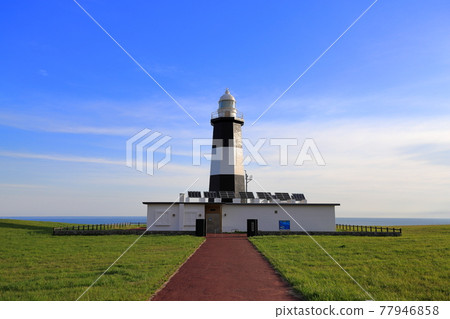 北海道網走市能取岬的風景 早晨能取岬燈塔[5月] 77946858