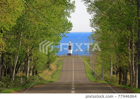 北海道網走市能取岬的風景 通往能取岬燈塔的直路 [5月] 77946864