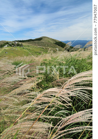 Raw stone plateau [Kimino Town, Wakayama Prefecture] 77947007