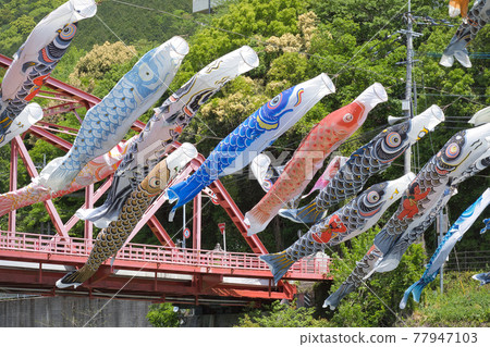 佐賀縣川上峽的鯉魚旗 佐賀縣川上峽的鯉魚旗 77947103