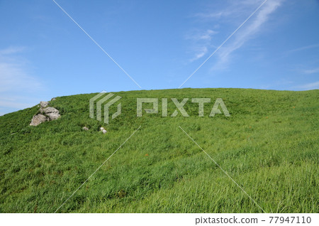 夏季原石高原[和歌山縣公野町] 77947110