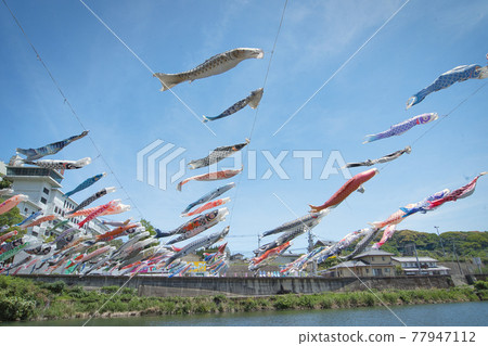 佐賀縣川上峽的鯉魚旗 佐賀縣川上峽的鯉魚旗 77947112