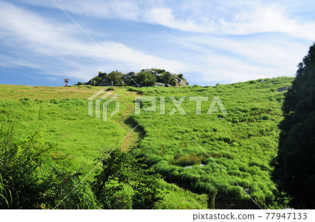 Summer raw stone plateau (Kasaishi) [Kimino Town, Wakayama Prefecture] 77947133
