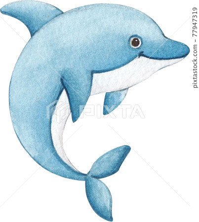 Dolphin watercolor 77947319