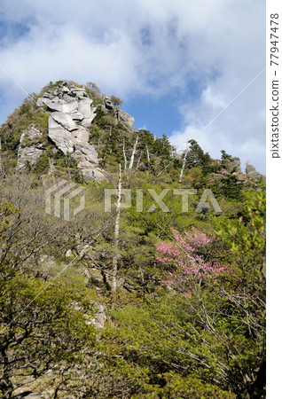 大峰山大日山[奈良縣吉野區志摩北山村] 77947478