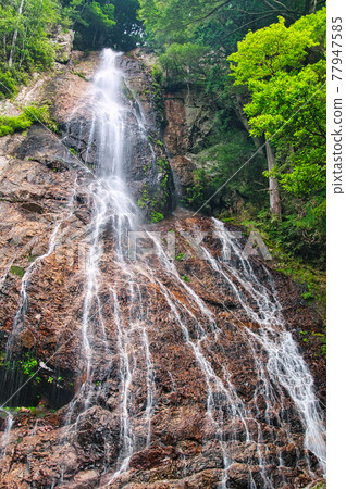 Zenki的後台三重瀑布(Sangaino Falls)【奈良縣吉野區下北山村】 Zenki的後台三重瀑布(Sangaino Falls)【奈良縣吉野區下北山村】 77947585