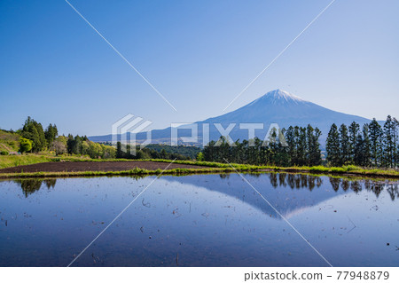 (Shizuoka Prefecture) Fujinomiya City Upside down rice fields Fuji (Shizuoka Prefecture) Fujinomiya City Upside down rice fields Fuji 77948879