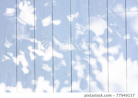 Shadow reflected on the white board wall 77949137