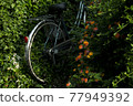 Bicycle buried in green 77949392