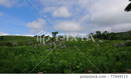 夏天的天空和平尾台 夏天的天空和平尾台 77949515