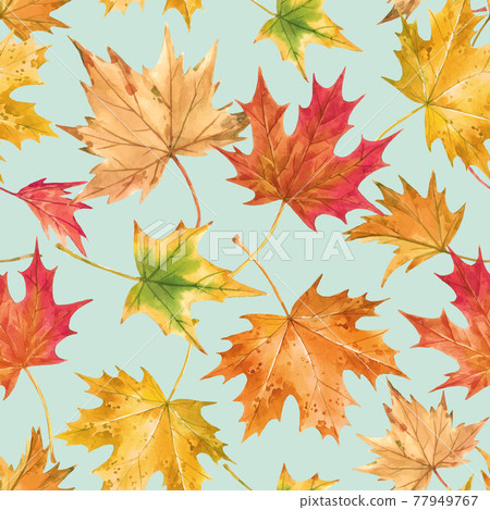 Beautiful vector seamless autumn pattern with watercolor colorful maple leaves. Stock illustration. 77949767