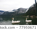 Hallstatt catamaran Europe 77950671
