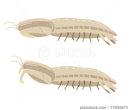 No shako line 77950873