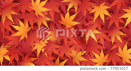 Watercolor-style vector illustration of fallen leaves with autumn leaves piled up Background (carpet) 77951017