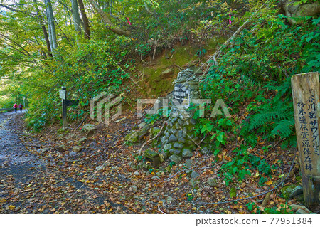 秋天谷川山西黑嶺入口（國道291號）的路標 77951384