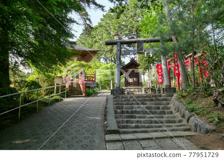 Shiofune Kannonji 方法，初夏，青梅市，東京 77951729