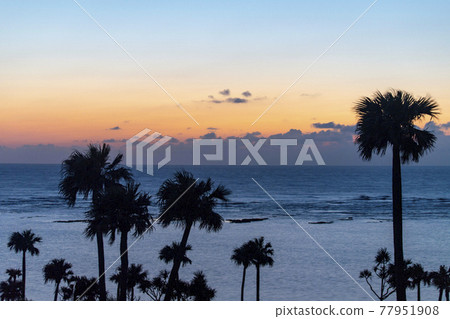 德之島天城町與那海灘的棕櫚樹和日落 77951908