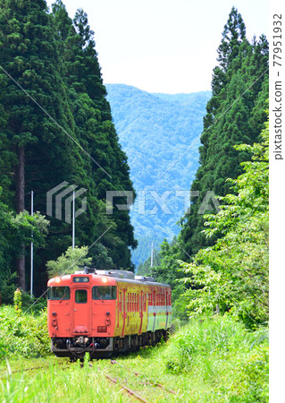 JR East Ban-Etsusai Line Forest & Cod Roe Vehicle (Kiha 48) JR East Ban-Etsusai Line Forest & Cod Roe Vehicle (Kiha 48) 77951932