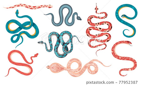 Mystic snakes. Boho magic poisonous snake with astrology symbols, floral, skeleton and abstract patterns. Esoteric serpent tattoo vector set Mystic snakes. Boho magic poisonous snake with astrology symbols, floral, skeleton and abstract patterns. Esoteric serpent tattoo vector set 77952387