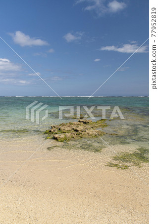 德之島伊森町紀年浜 德之島伊森町紀年浜 77952819