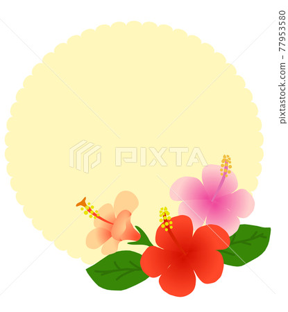 Hibiscus illustration frame 77953580
