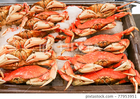 漁人碼頭，舊金山，加利福尼亞，美國 77953951