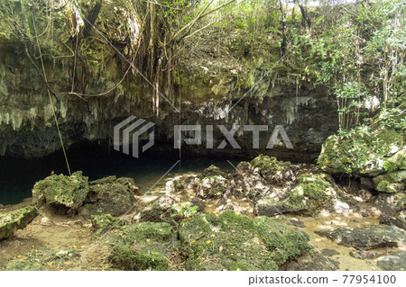 雲吹，德之島的大海 77954100