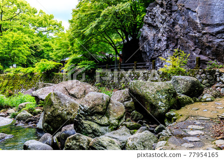 Fresh green Daioji Temple 500 Rakan (Bucheon Valley) [Isahaya City, Nagasaki Prefecture] 77954165